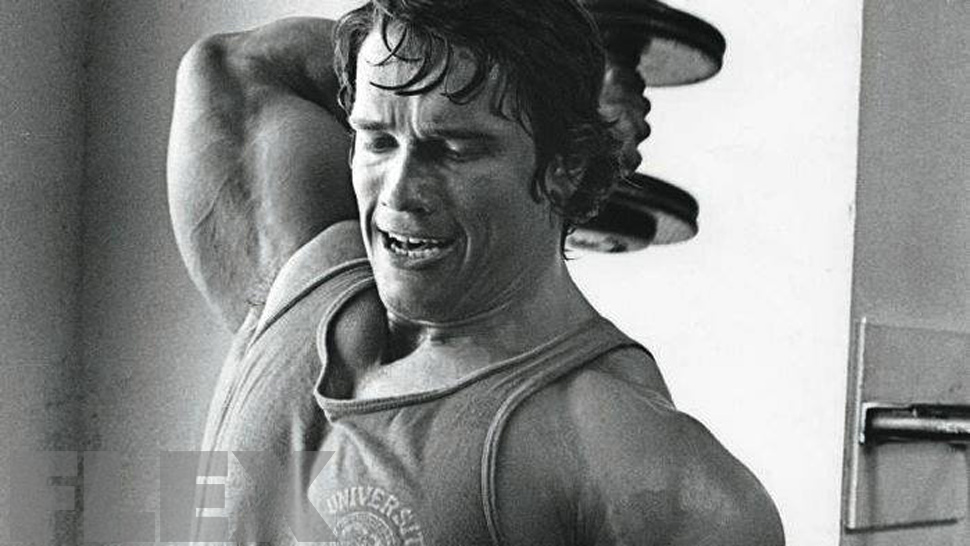 The Complete Arnold Triceps Muscle & Fitness